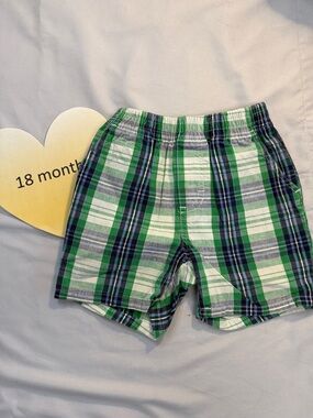 Tommy Hilfiger Green and Blue Flat Front Shorts